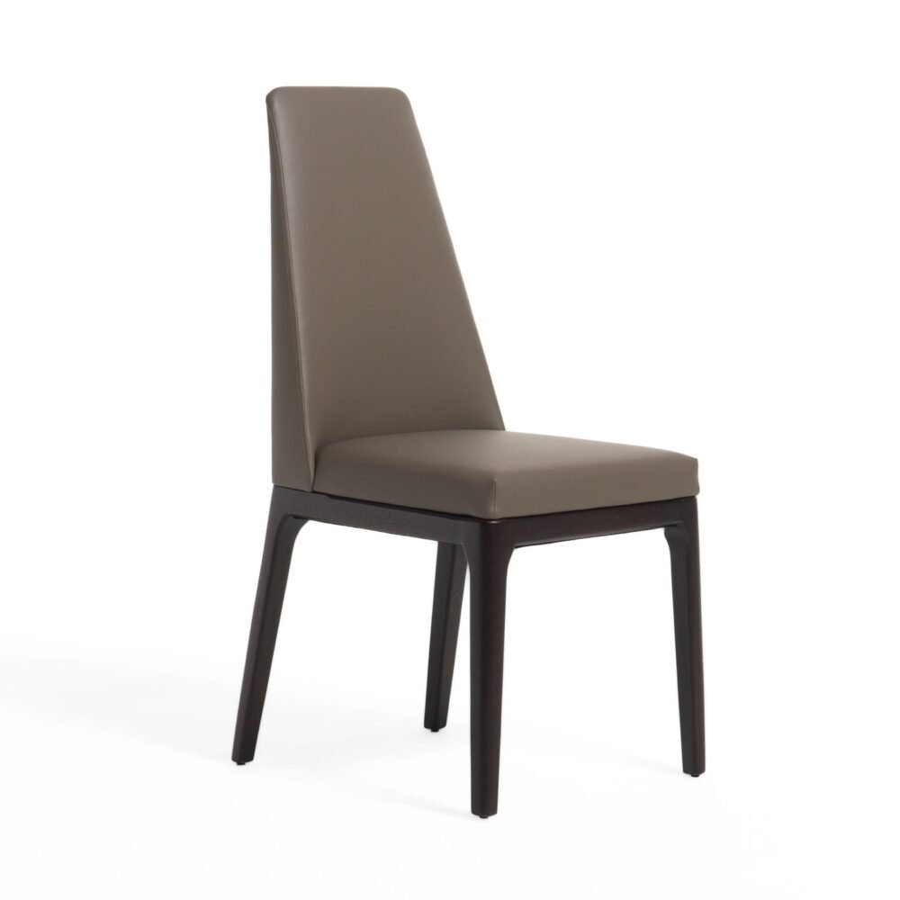 Modrest Encino - Silla de comedor moderna color chocolate color topo y madera (juego de 2)